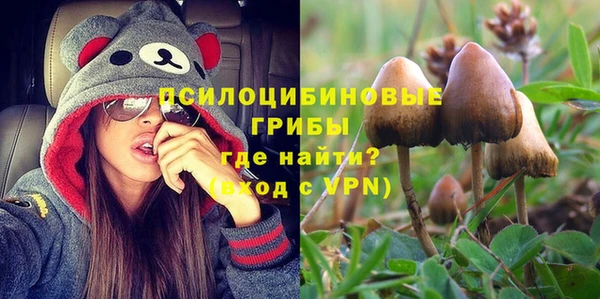 а пвп мука Алзамай