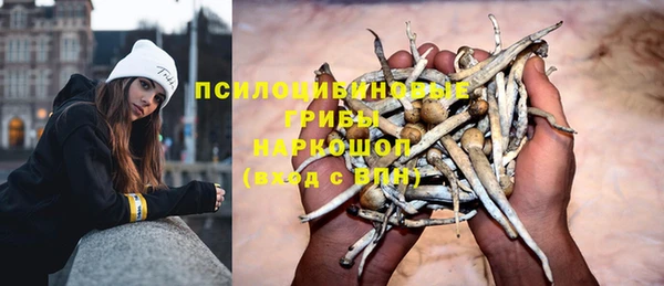 а пвп мука Алзамай